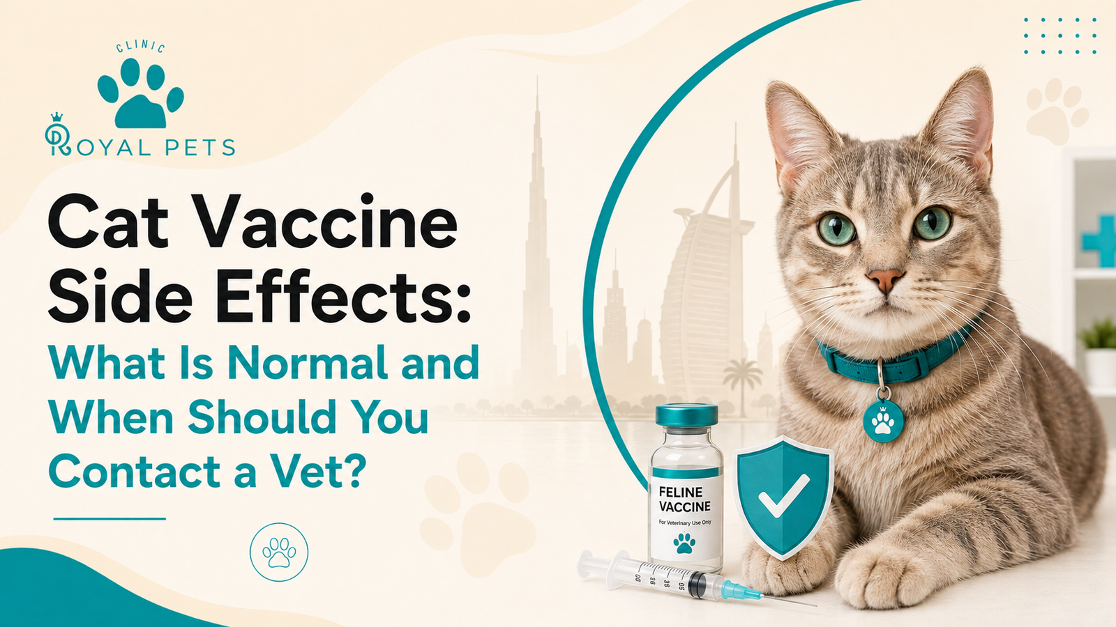 cat vaccine side effects